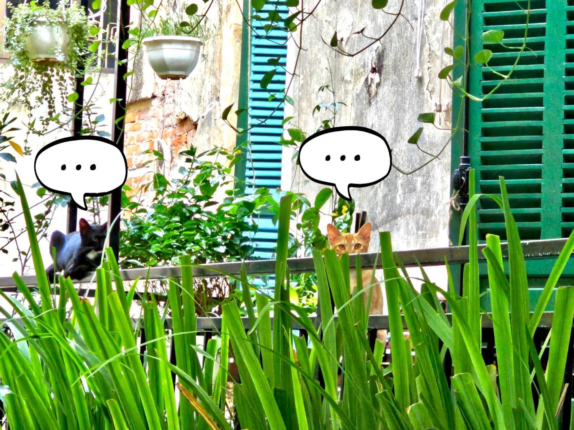 Azalea Apartment Hanoi Kültér fotó